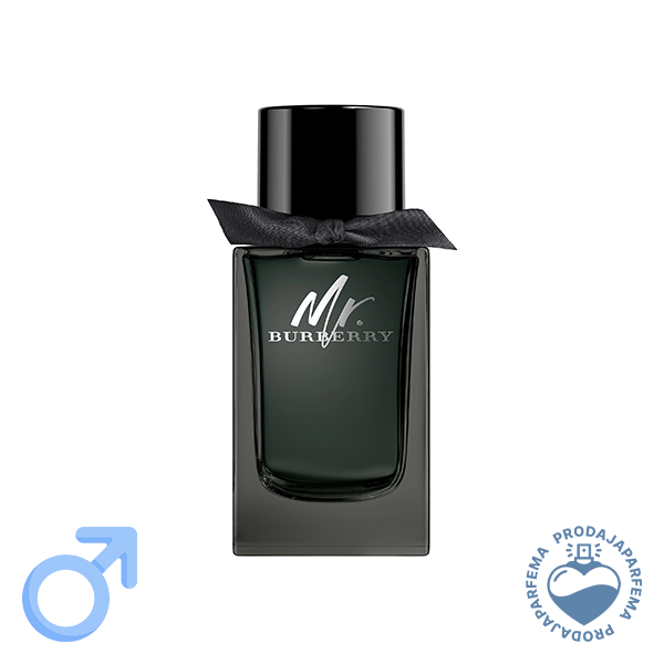 Burberry Mr. Burberry - 100ml | Parfemska voda - Eau de Parfum (EDP)