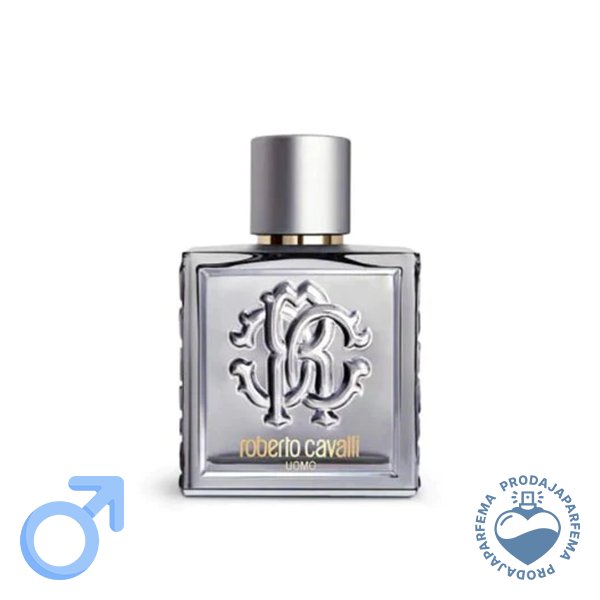 Roberto Cavalli Uomo Silver Essence - 100ml
