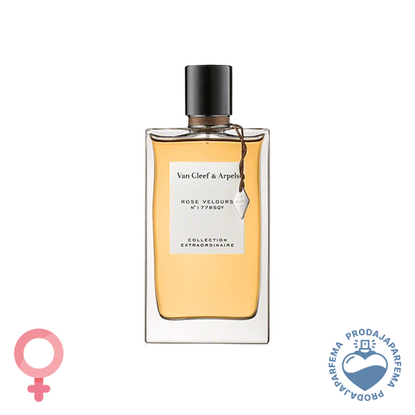 Van Cleef & Arpels Rose Velours - 75ml | Parfemska voda - Eau de Parfum (EDP)