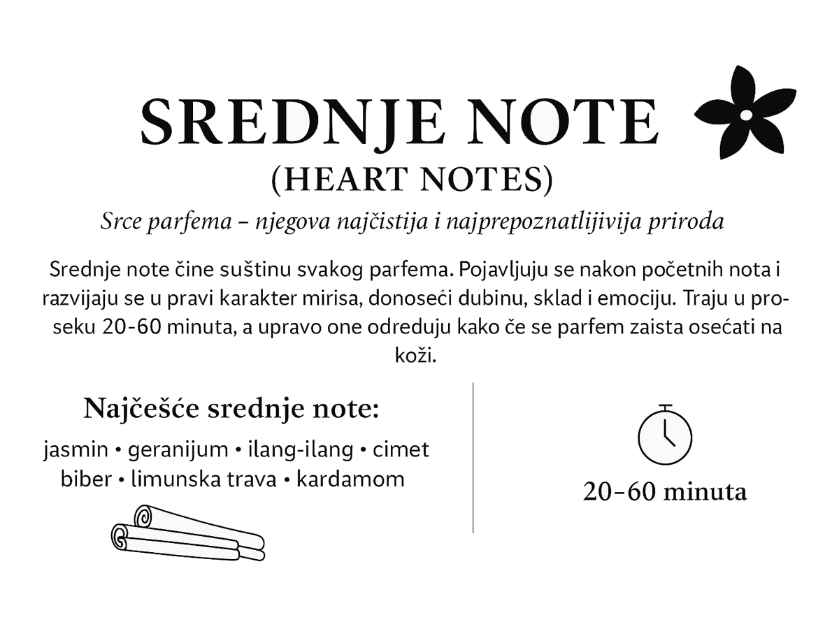 Ilustracija srednjih (srčanih) nota parfema