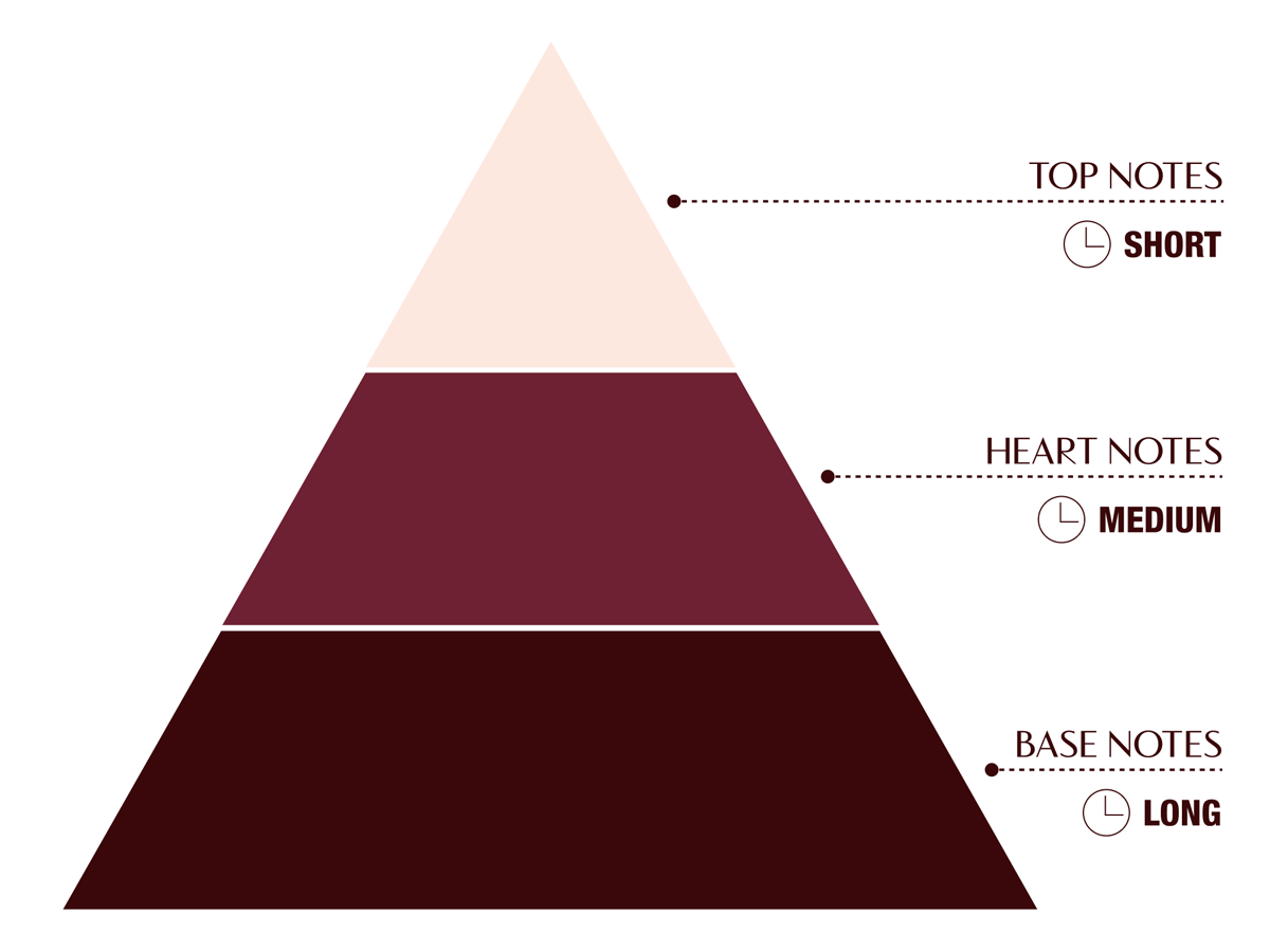 Ilustracija gornjih nota parfema